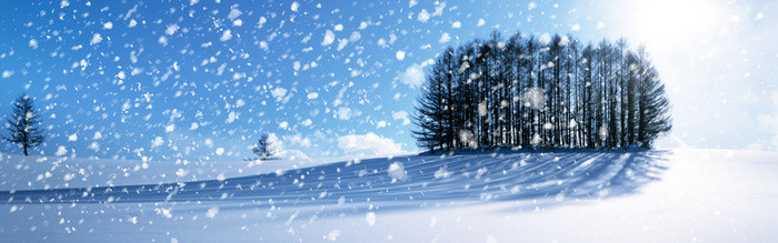 冬天下雪背景高清