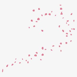 花瓣粉红色花瓣漂浮花瓣免抠