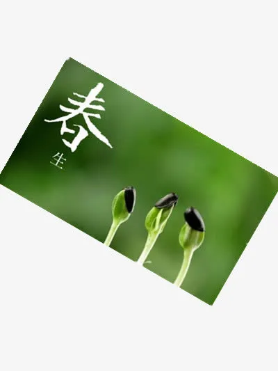 节气高清素材免抠