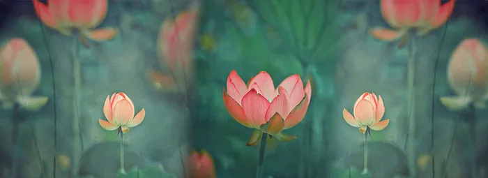 唯美背景高清