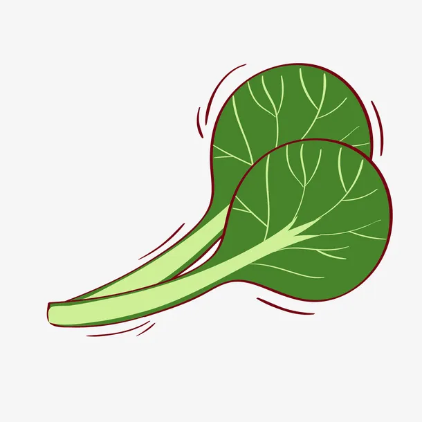 两片青菜PNG下载免抠手绘/卡通卡通元素