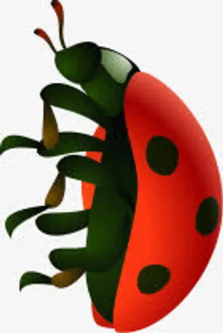 手绘七星瓢虫主题免抠