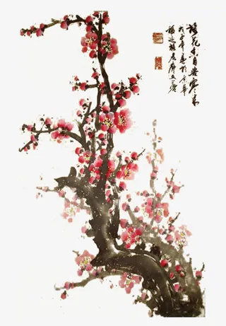 国画梅花免抠