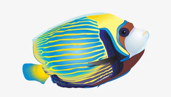 海中彩鱼图片免抠