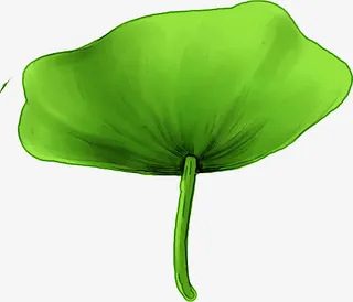 手绘绿色夏季荷叶插图免抠