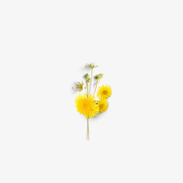 手绘树叶鲜花免抠