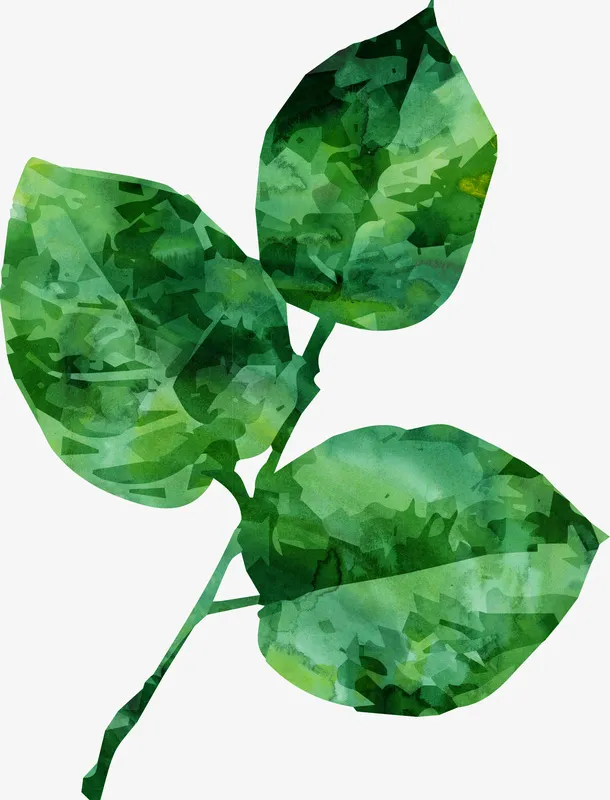 手绘绿叶免抠