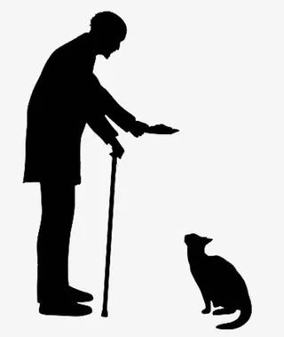 喂猫老人剪影免抠