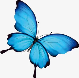 蓝色手绘唯美蝴蝶免抠