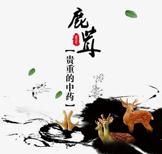 鹿茸素材免抠