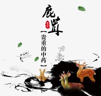 鹿茸素材免抠 鹿茸素材免抠