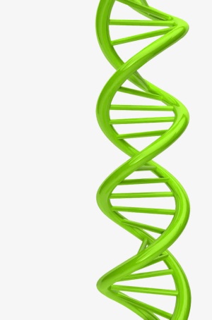 绿色选装的基因图形免抠