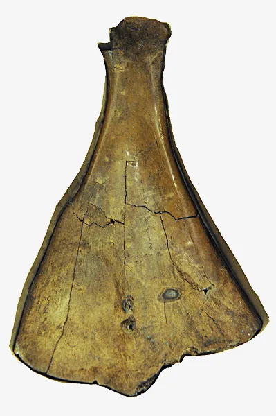 实物甲骨文免抠