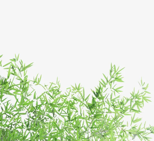 绿色竹叶免抠