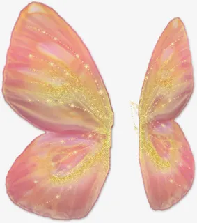 蝴蝶翅膀免抠