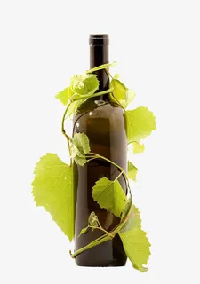 葡萄枝蔓缠绕瓶子免抠