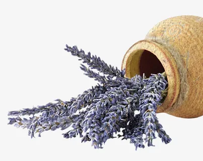 倾倒的罐子免抠