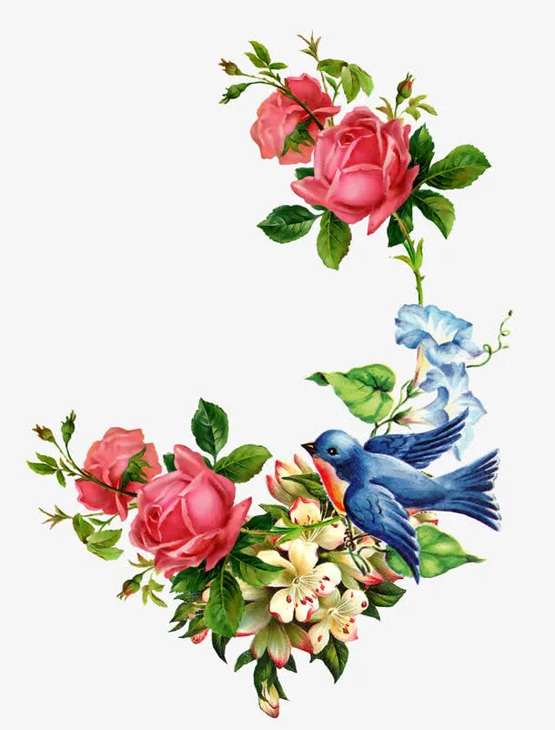 手绘花鸟免抠