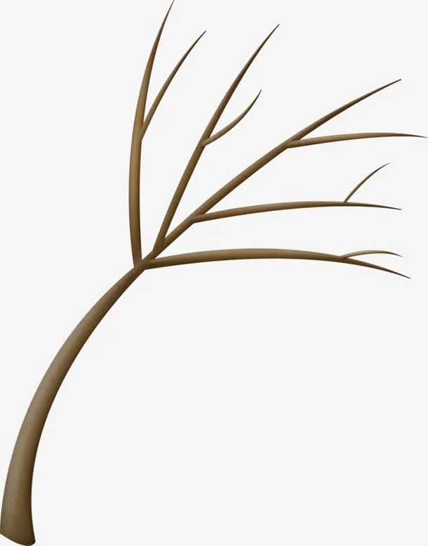 手绘树枝免抠