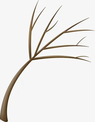 手绘树枝免抠