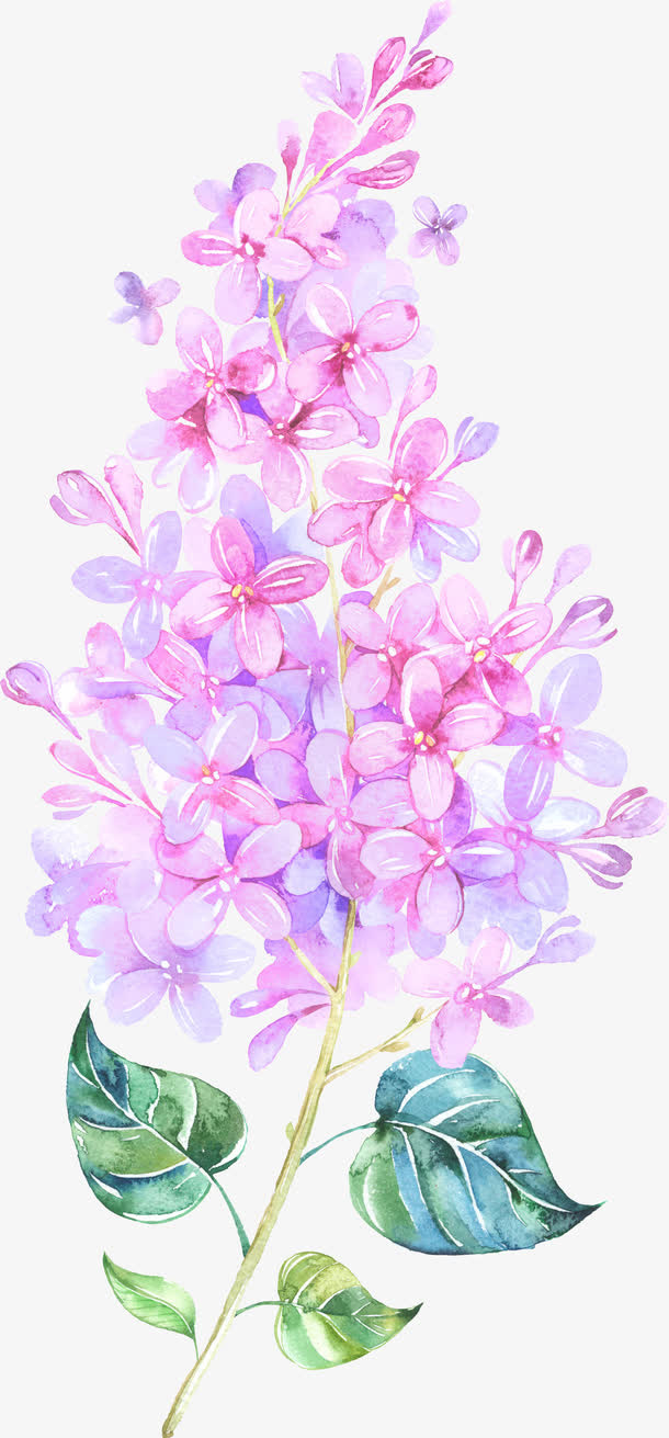 漂浮花免抠