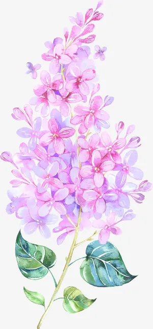 漂浮花免抠