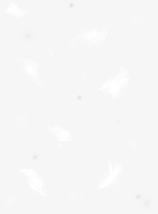 梦幻羽毛免抠装饰其他装饰图案元素