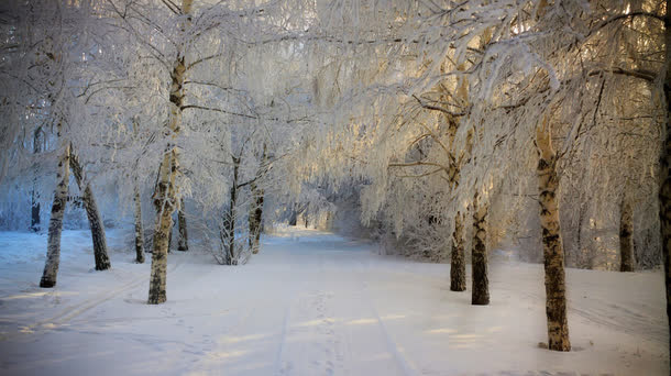 高清摄影冬天的雪花免抠