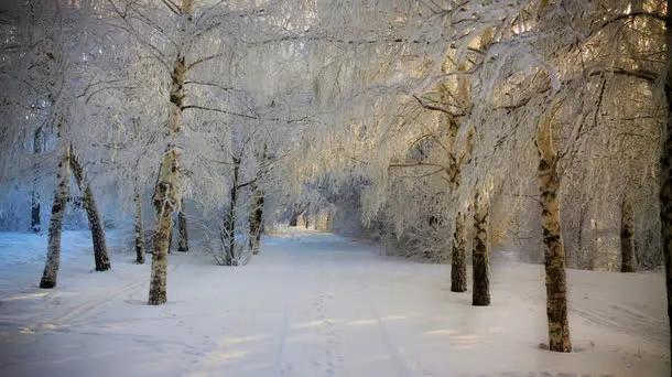 高清摄影冬天的雪花免抠