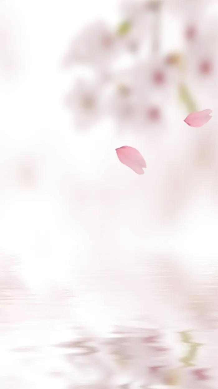 粉色梦幻花瓣H5背景高清