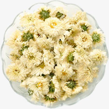 菊花花茶茶叶养生免抠