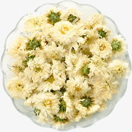 菊花花茶茶叶养生免抠