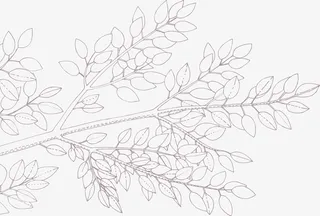 手绘线条树枝矢量图免抠