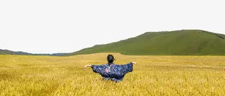 大自然的美免抠