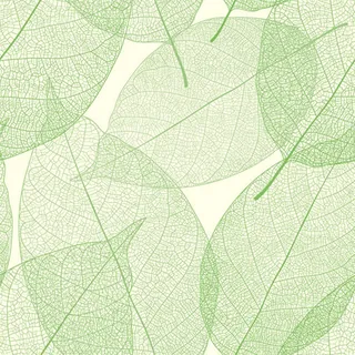 淡雅绿叶纹理背景高清