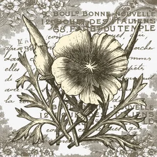 手绘欧美风书信和花免抠