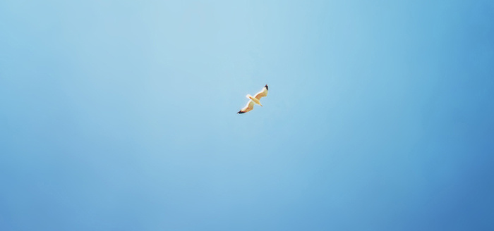 淘宝banner背景图高清