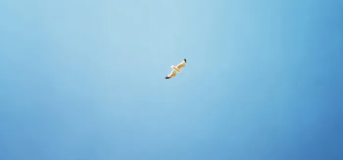 淘宝banner背景图高清