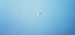 淘宝banner背景图高清