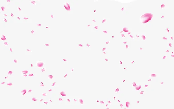 玫瑰花瓣漂浮免抠
