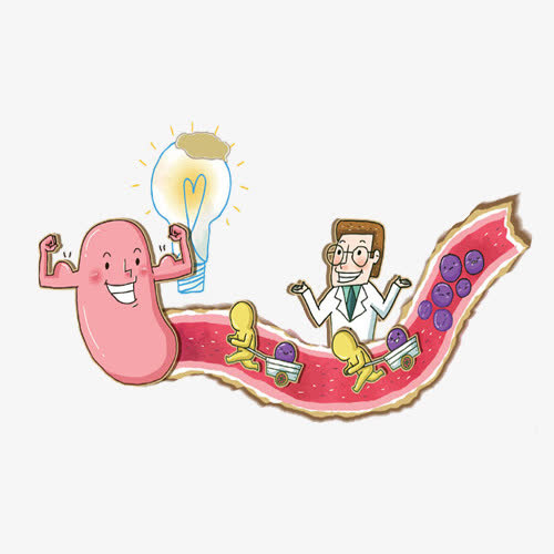 肠道问题治疗免抠