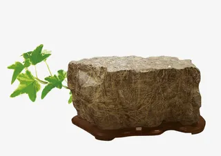 石头叶子免抠