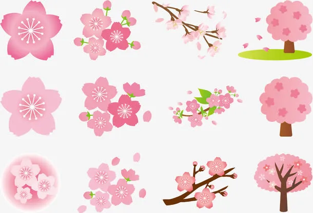 各种日系樱花免抠