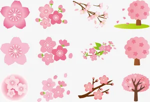 各种日系樱花免抠