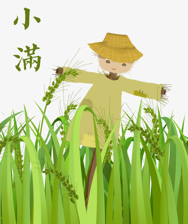 手绘可爱卡通插图小满节气稻谷与免抠