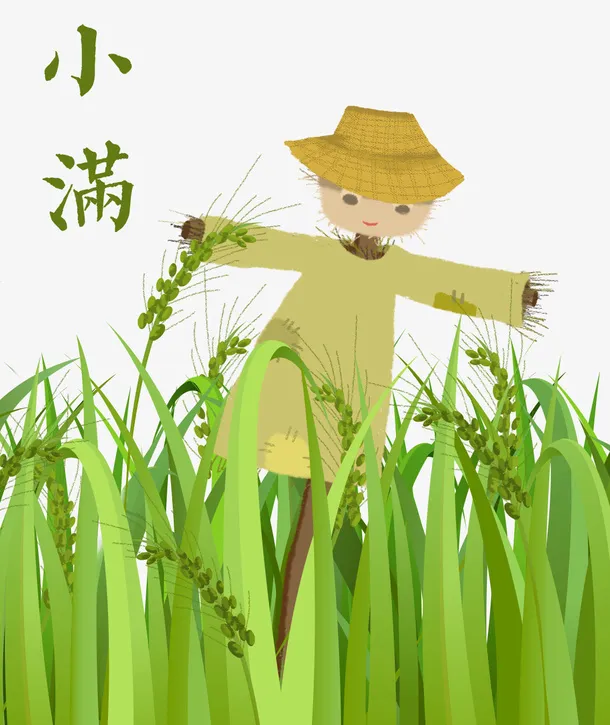 手绘可爱卡通插图小满节气稻谷与免抠