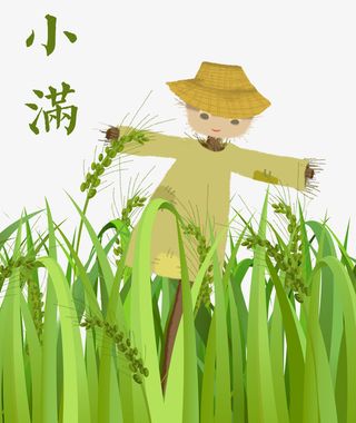手绘可爱卡通插图小满节气稻谷与免抠