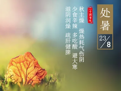 24节气处暑养生免抠