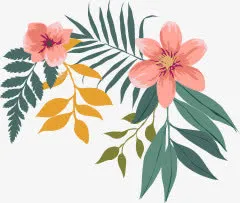花免抠