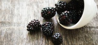 桑葚背景图高清